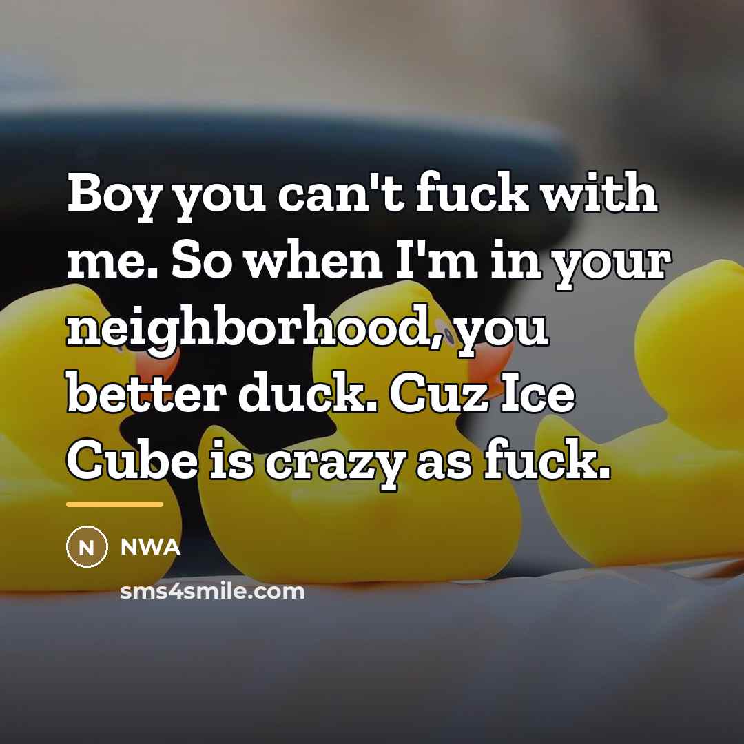 “Boy you can't fuck with me. So when I'm in…” quote by NWA