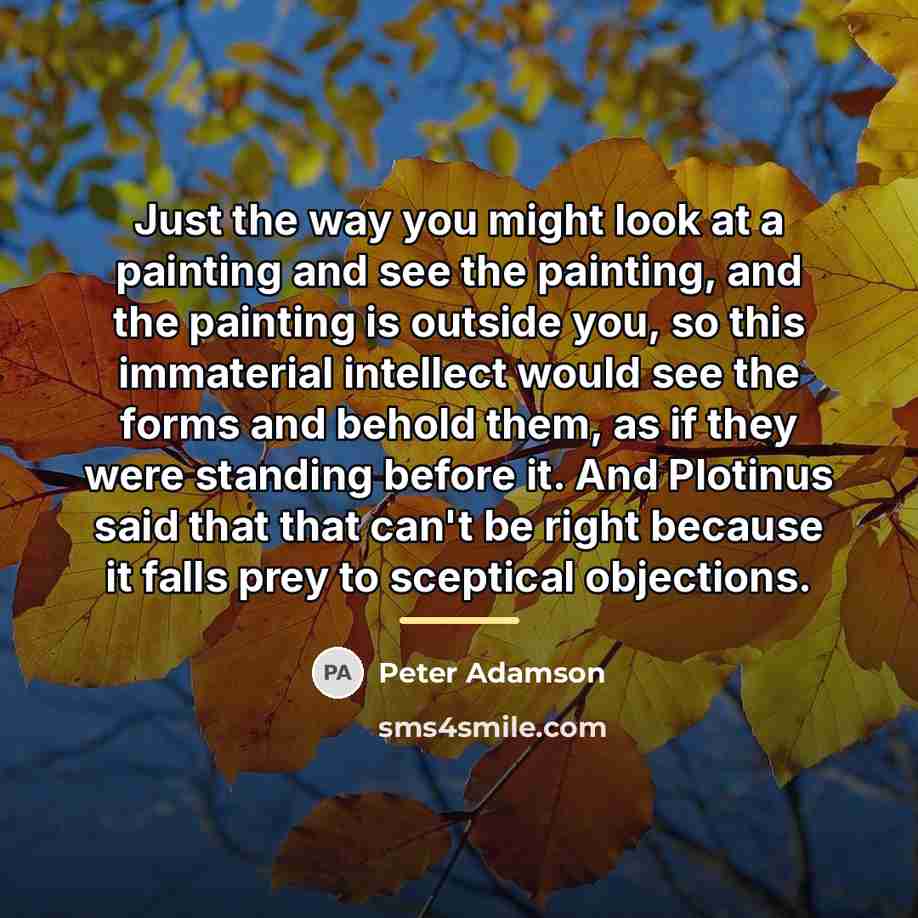 “Just the way you might look at a painting and…” quote by Peter Adamson
