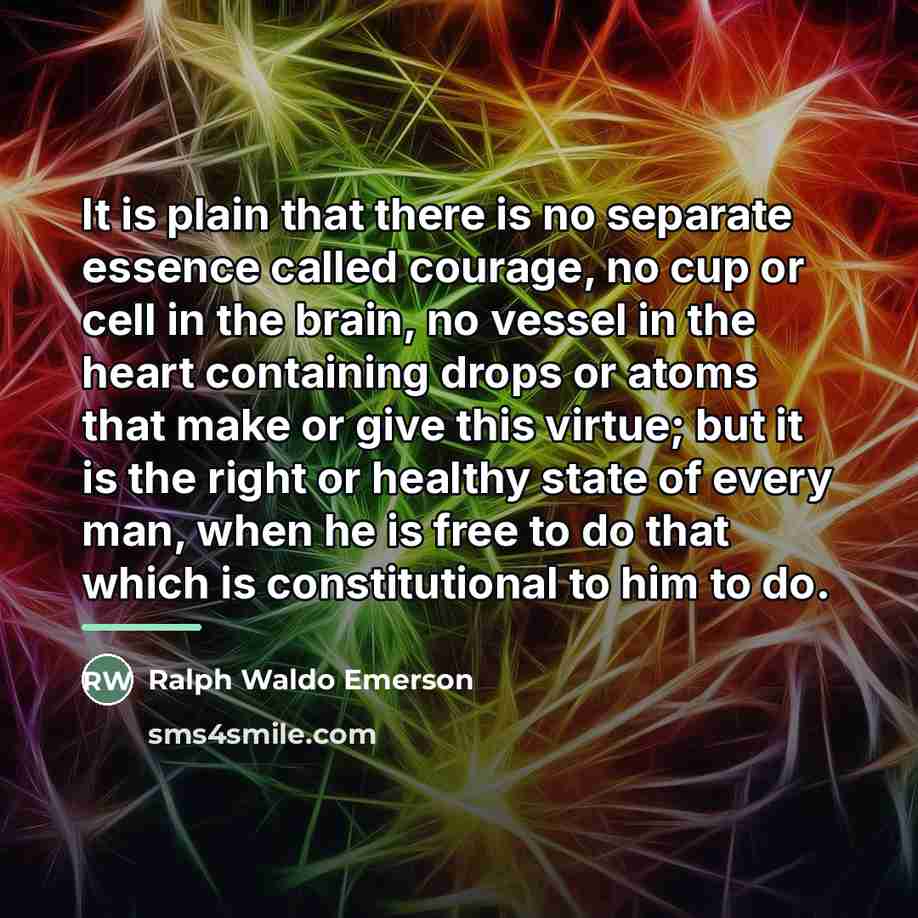 “It is plain that there is no separate essence called…” quote by Ralph Waldo Emerson
