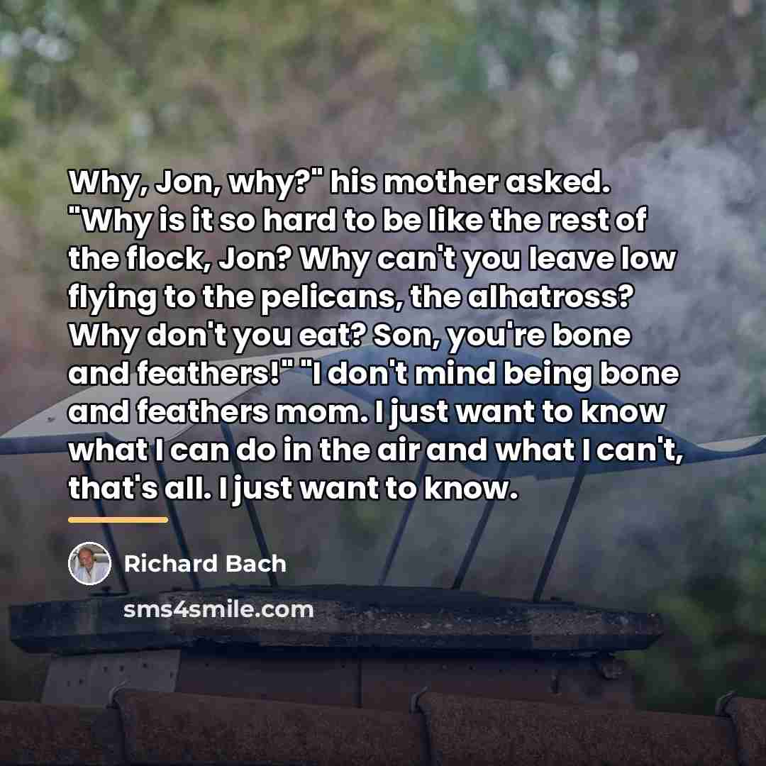 “Why, Jon, why?" his mother asked. "Why is it so…” quote by Richard Bach