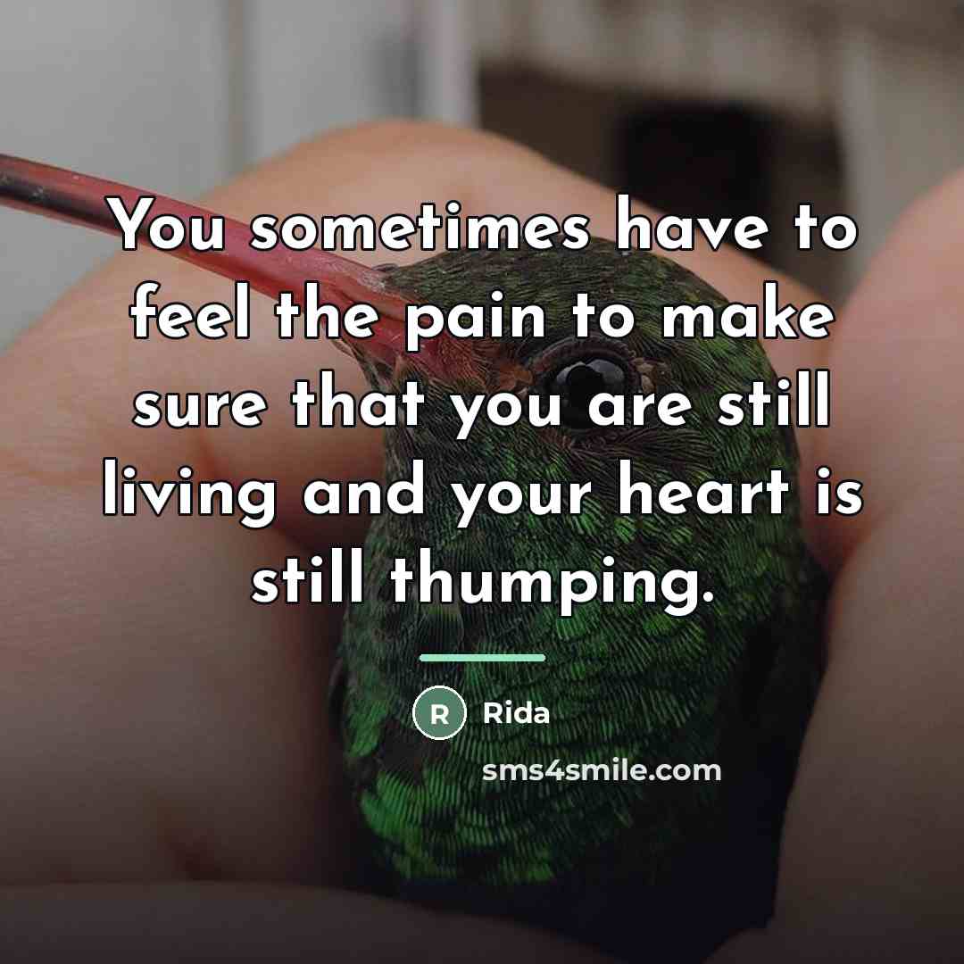 “You sometimes have to feel the pain to make sure…” quote by Rida
