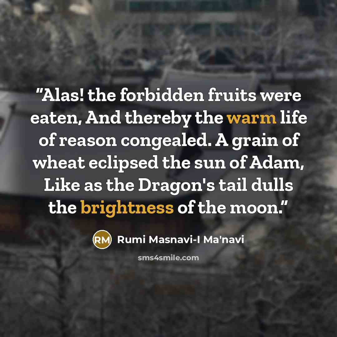 “Alas! the forbidden fruits were eaten, And thereby the warm life of reason congealed. A grain of wheat eclipsed the sun of Adam, Like as the Dragon's tail dulls the brightness of the moon.” quote by Rumi Masnavi-I Ma'navi