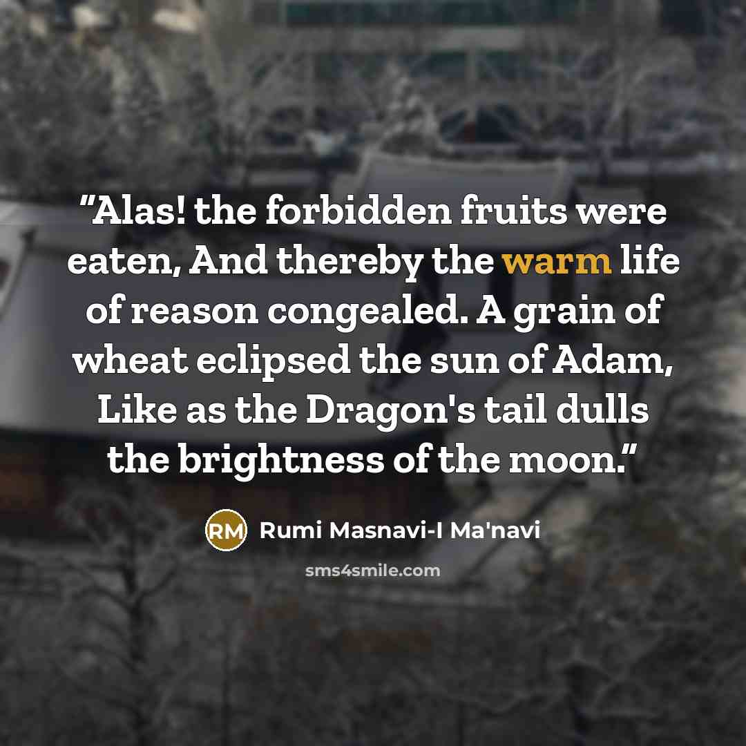 “Alas! the forbidden fruits were eaten, And thereby the warm life of reason congealed. A grain of wheat eclipsed the sun of Adam, Like as the Dragon's tail dulls the brightness of the moon.” quote by Rumi Masnavi-I Ma'navi
