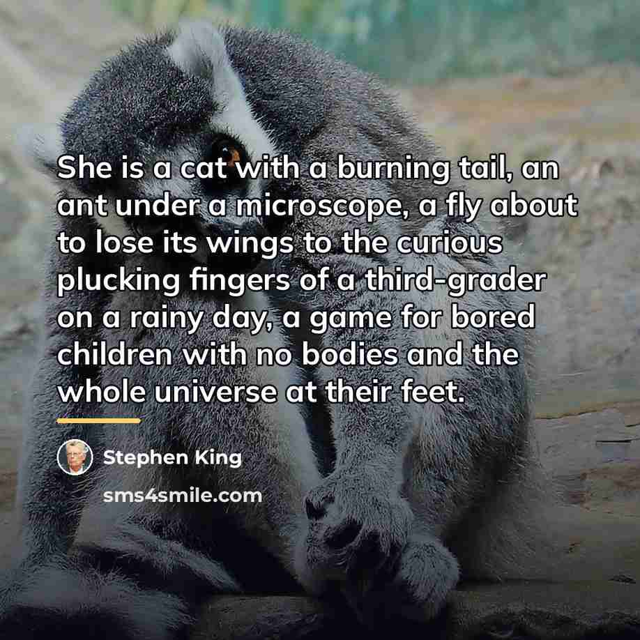 “She is a cat with a burning tail, an ant…” quote by Stephen King