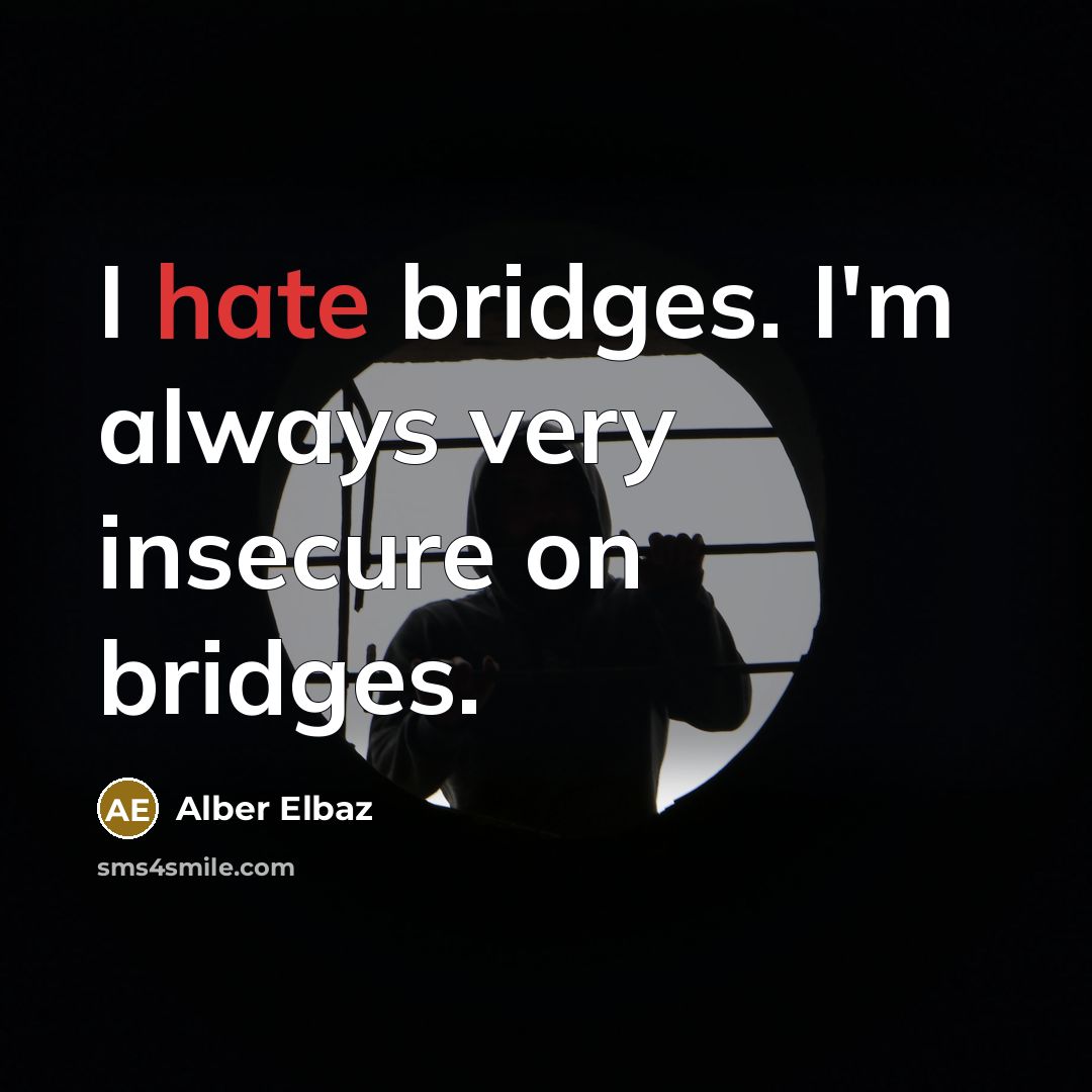 “I hate bridges. I'm always very insecure on bridges.…” quote by Alber Elbaz