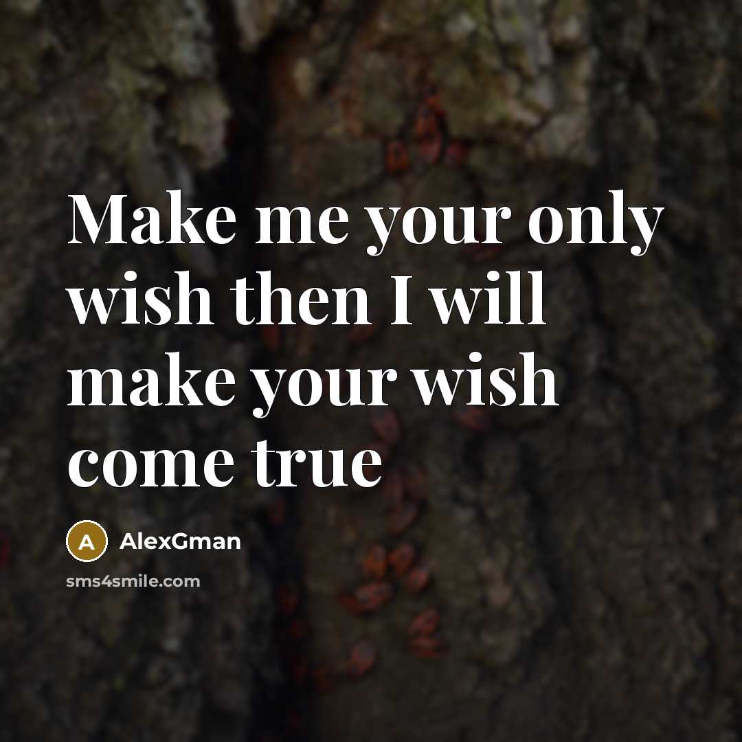 “Make me your only wish then I will make your wish come true” quote by AlexGman
