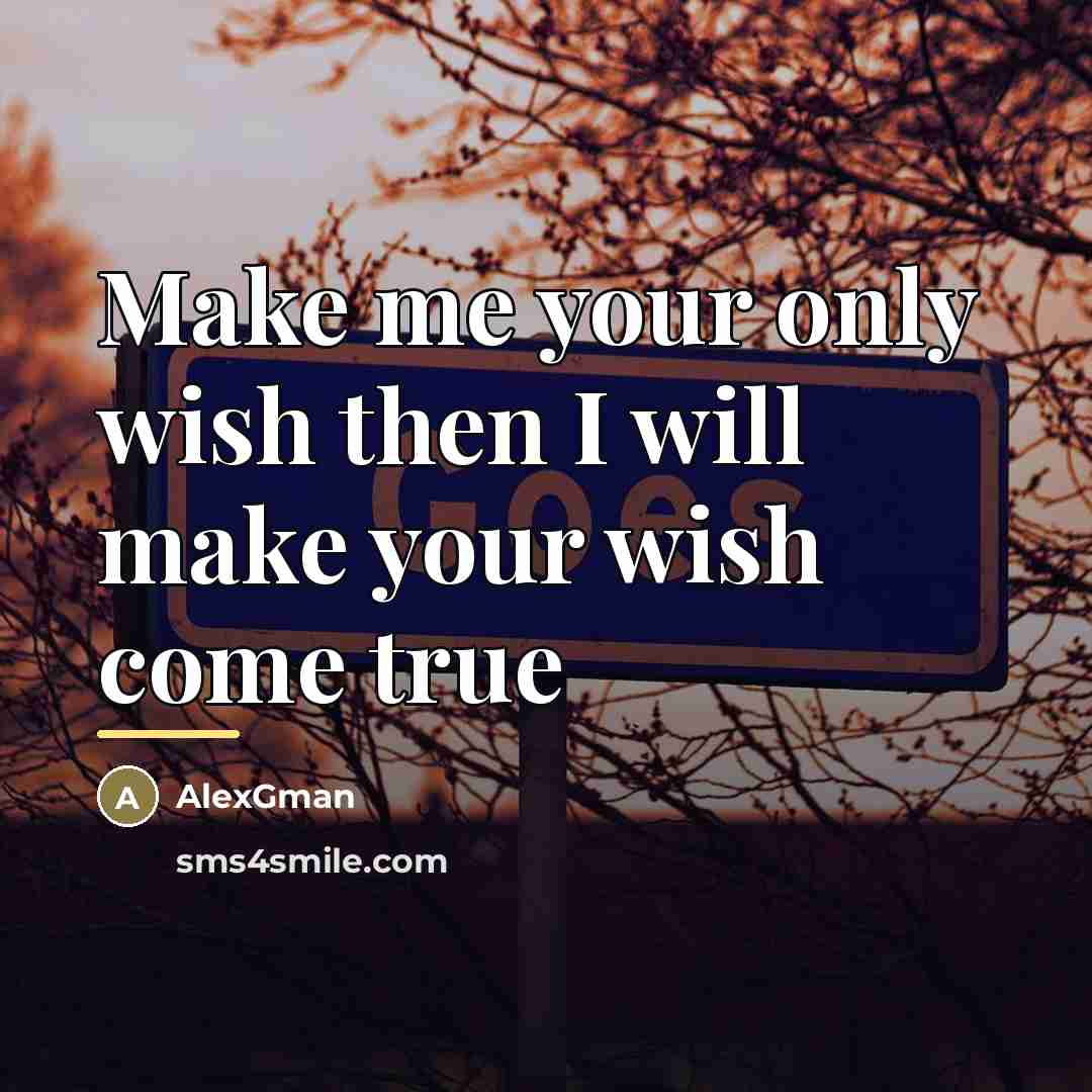“Make me your only wish then I will make your…” quote by AlexGman