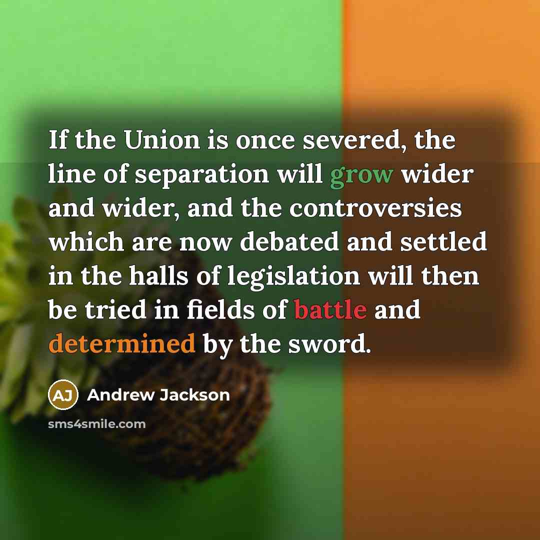 “If the Union is once severed, the line of separation…” quote by Andrew Jackson