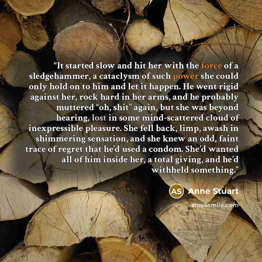 “It started slow and hit her with the force of a sledgehammer, a cataclysm of such power she could only hold on to him and let it happen. He went rigid against her, rock hard in her arms, and he probably muttered “oh, shit” again, but she was beyond hearing, lost in some mind-scattered cloud of…” quote by Anne Stuart