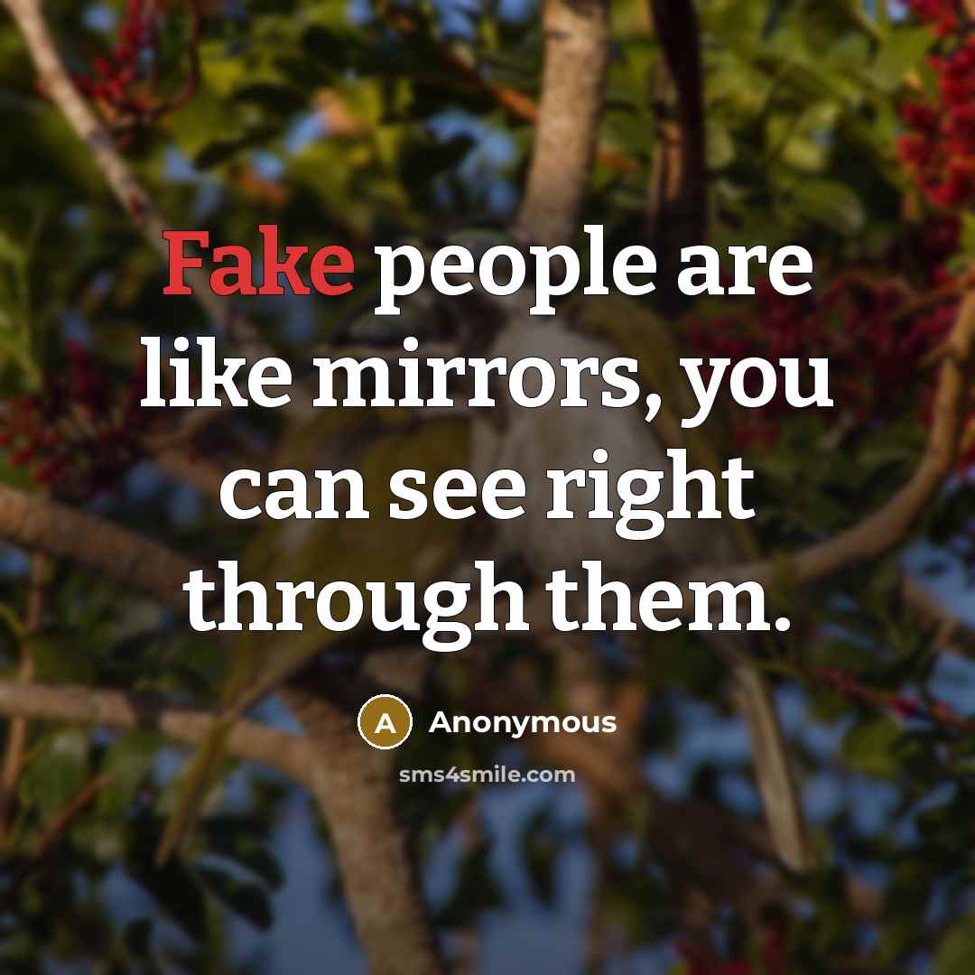 “Fake people are like mirrors, you can see right through them.” quote by Anonymous