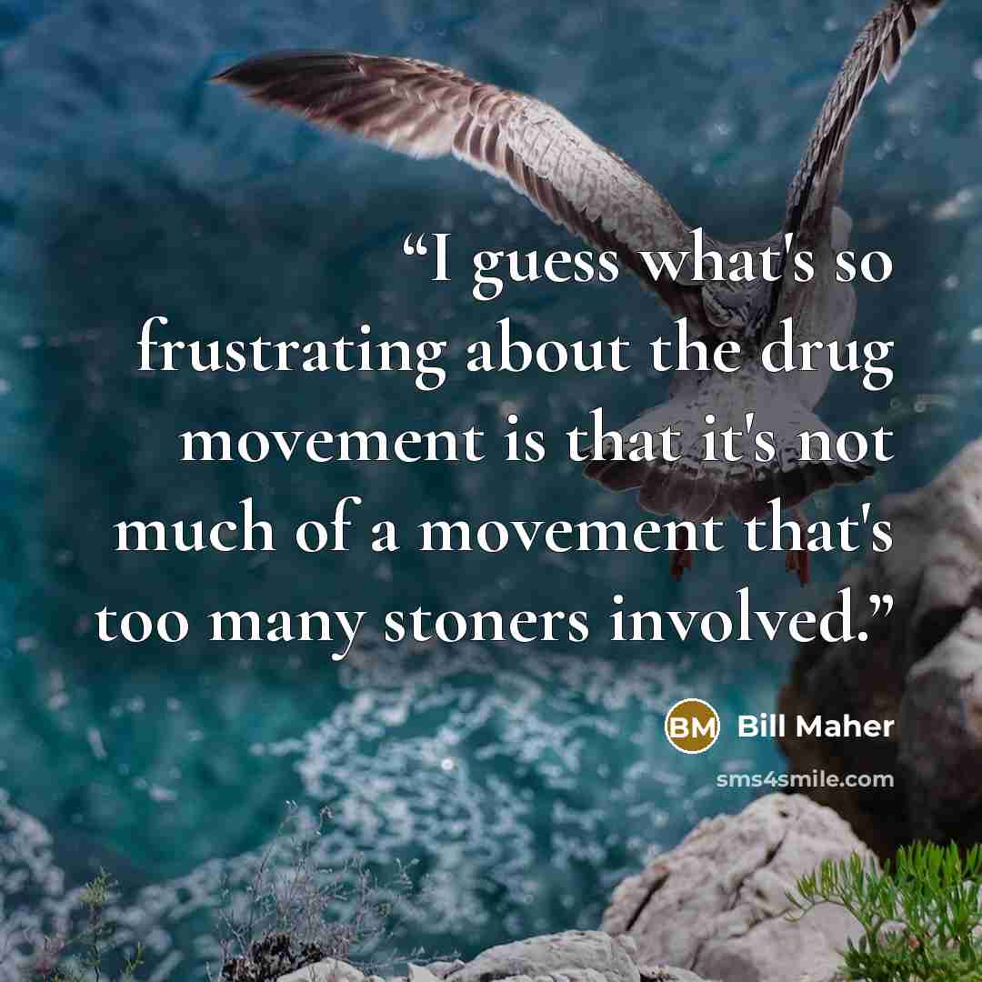“I guess what's so frustrating about the drug movement is that it's not much of a movement that's too many stoners involved.” quote by Bill Maher