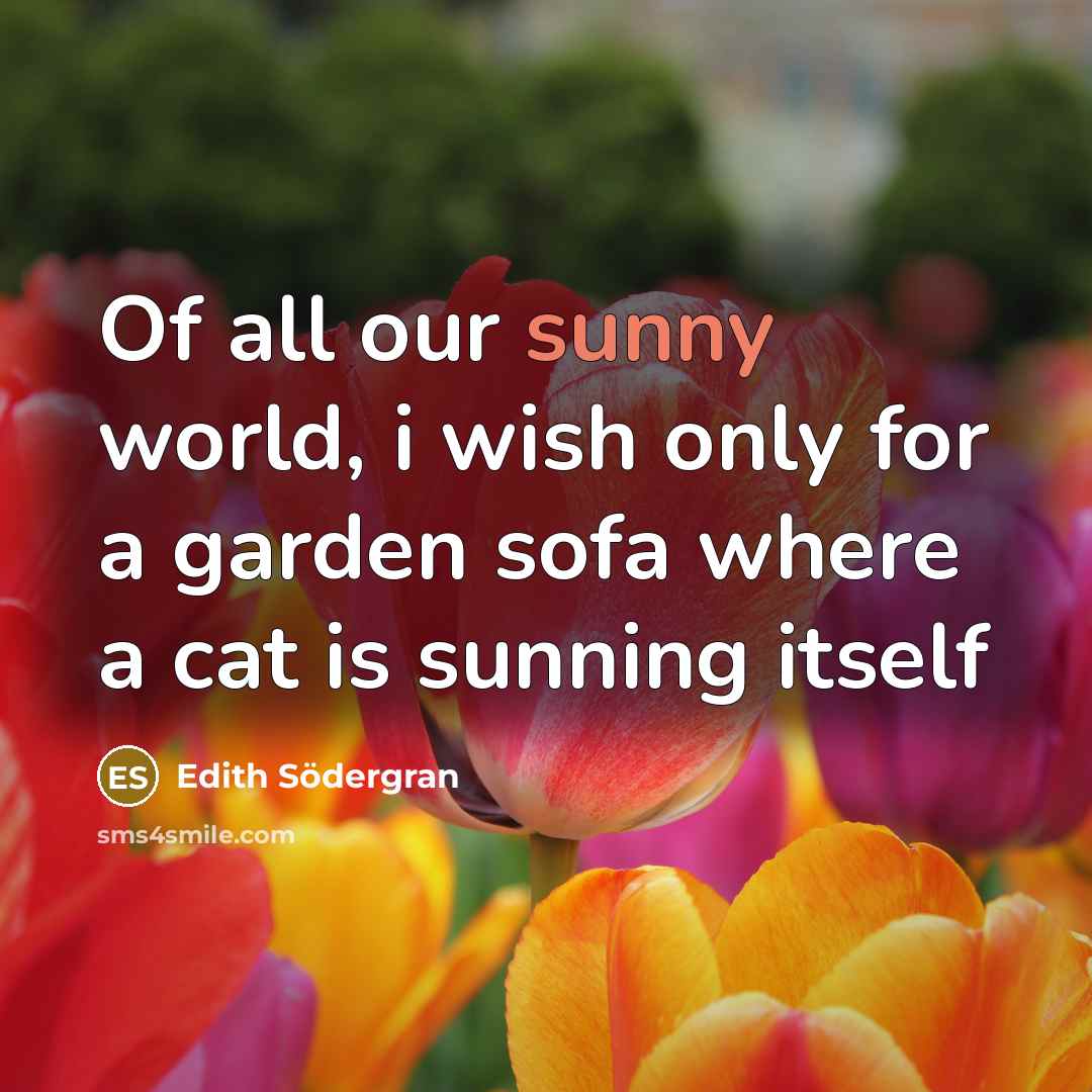 “Of all our sunny world, i wish only for a…” quote by Edith Södergran