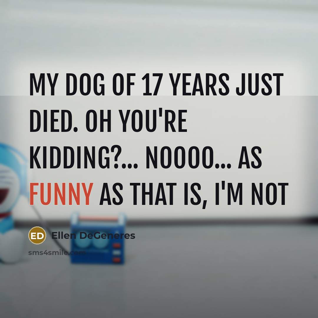 “My dog of 17 years just died. Oh you're kidding?...…” quote by Ellen DeGeneres