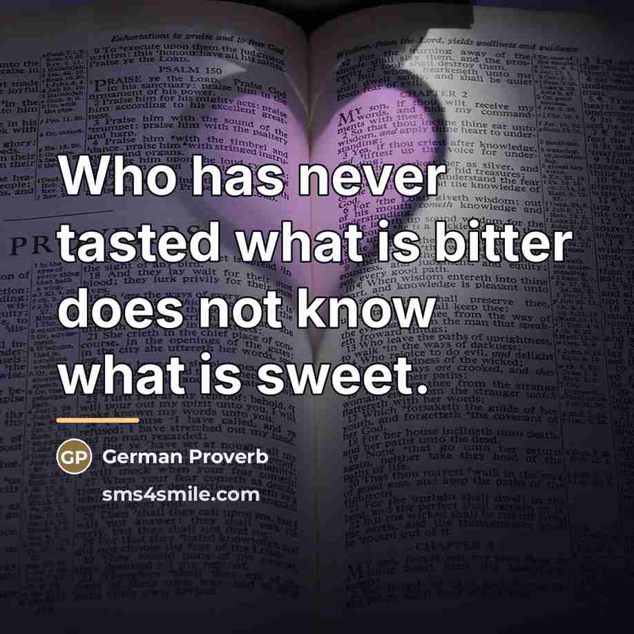 “Who has never tasted what is bitter does not know…” quote by German Proverb