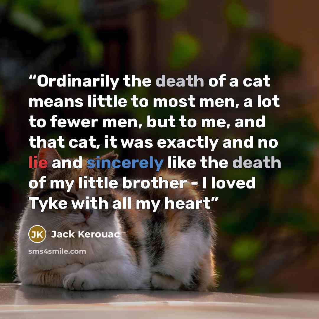 “Ordinarily the death of a cat means little to most men, a lot to fewer men, but to me, and that cat, it was exactly and no lie and sincerely like the death of my little brother - I loved Tyke with all my heart” quote by Jack Kerouac
