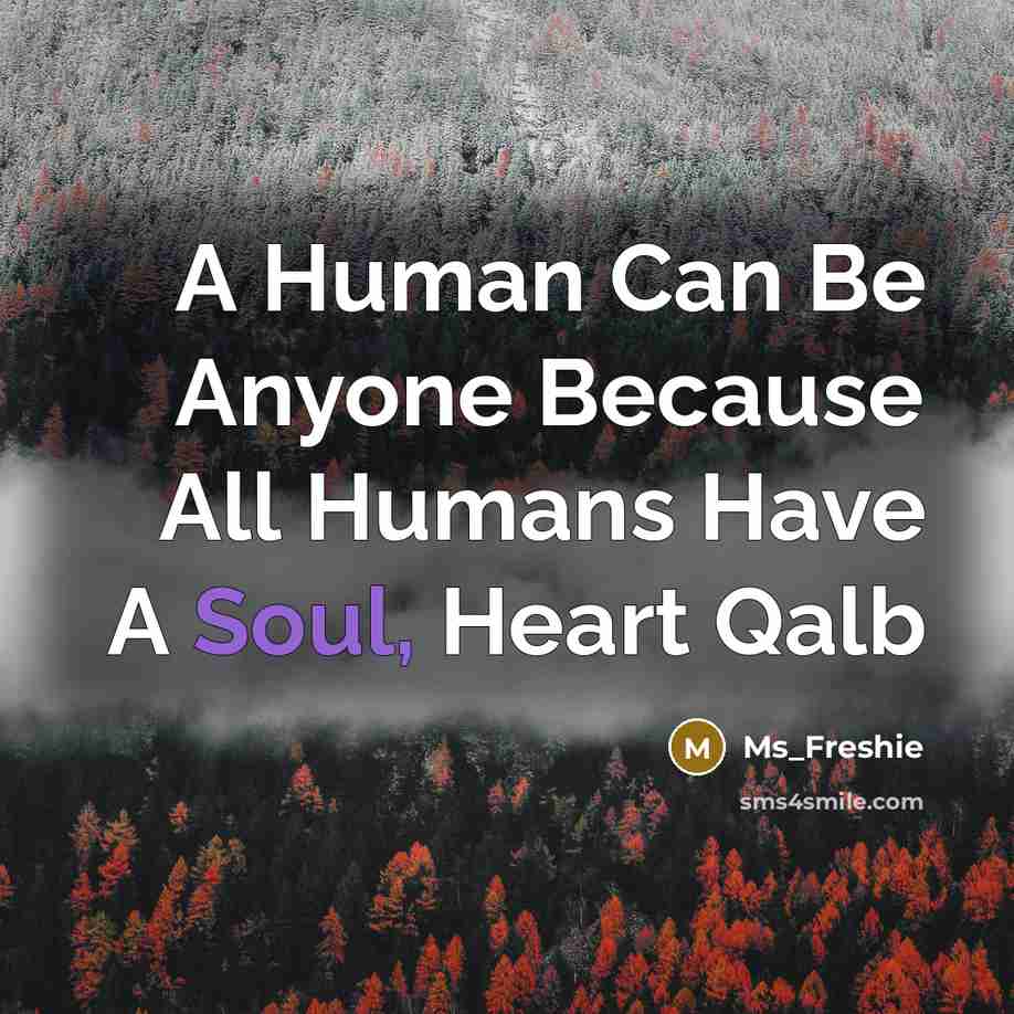 “A Human Can Be Anyone Because All Humans Have A Soul, Heart Qalb” quote by Ms_Freshie
