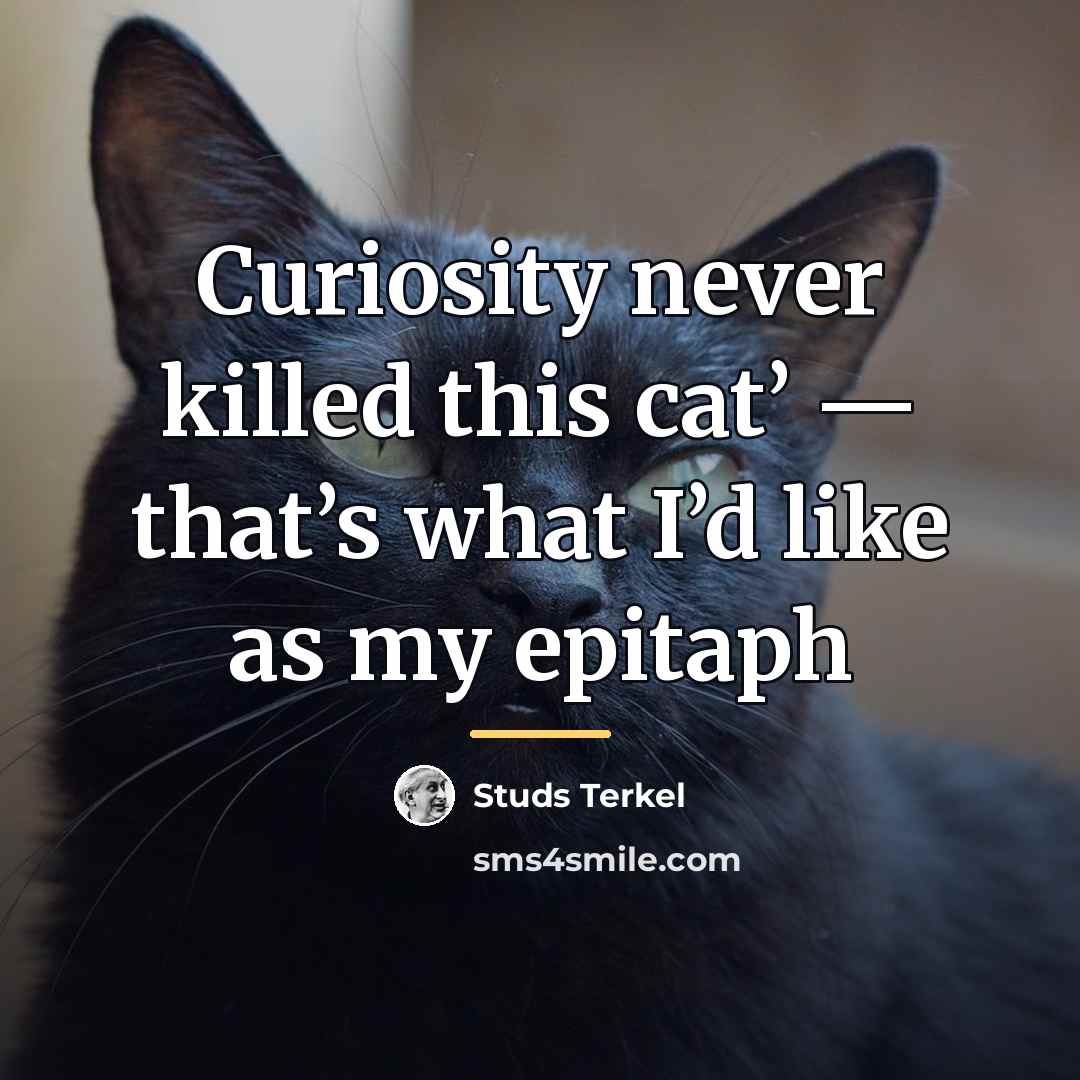 “Curiosity never killed this cat’ — that’s what I’d like…” quote by Studs Terkel