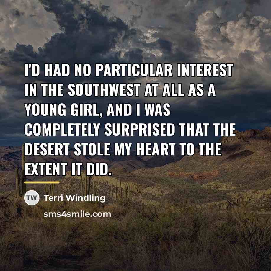 “I'd had no particular interest in the Southwest at all…” quote by Terri Windling
