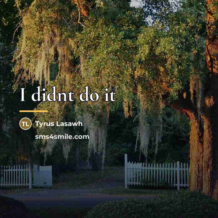 “I didnt do it…” quote by Tyrus Lasawh