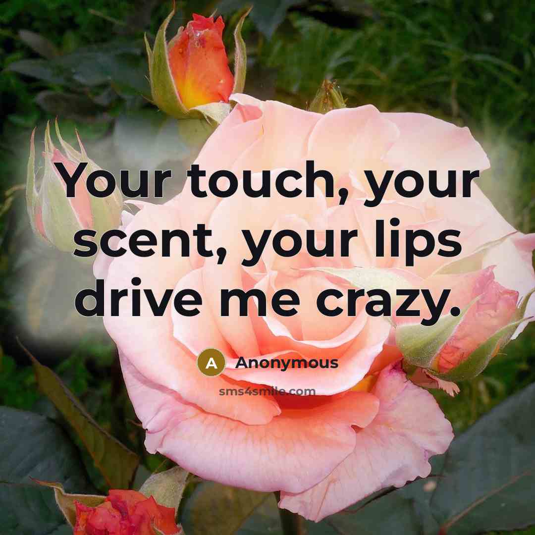 “Your touch, your scent, your lips drive me crazy.…” quote by Anonymous