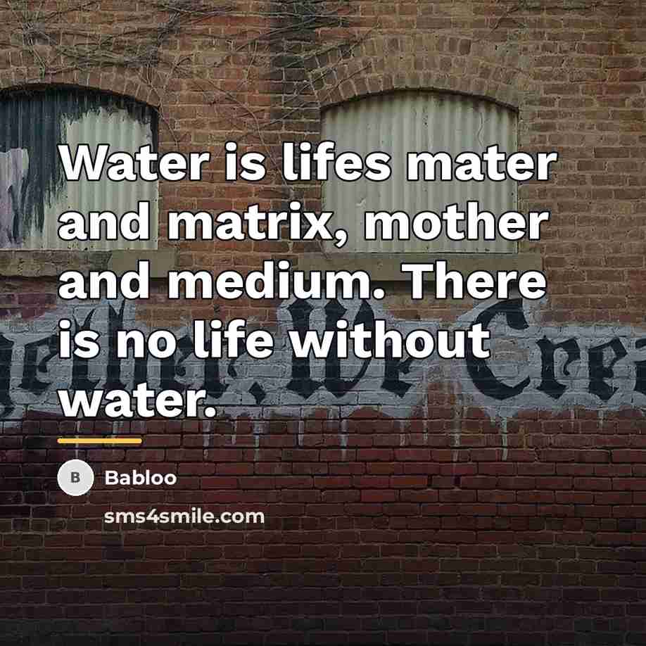 “Water is lifes mater and matrix, mother and medium. There…” quote by Babloo