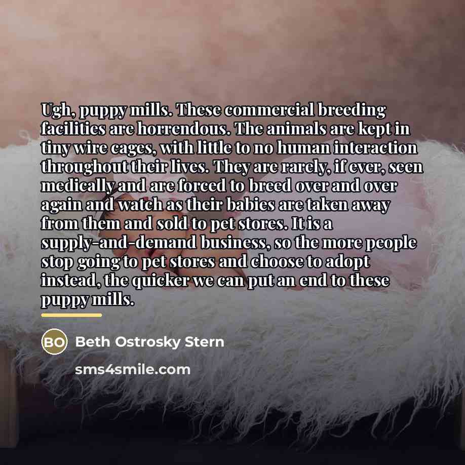 “Ugh, puppy mills. These commercial breeding facilities are horrendous. The…” quote by Beth Ostrosky Stern