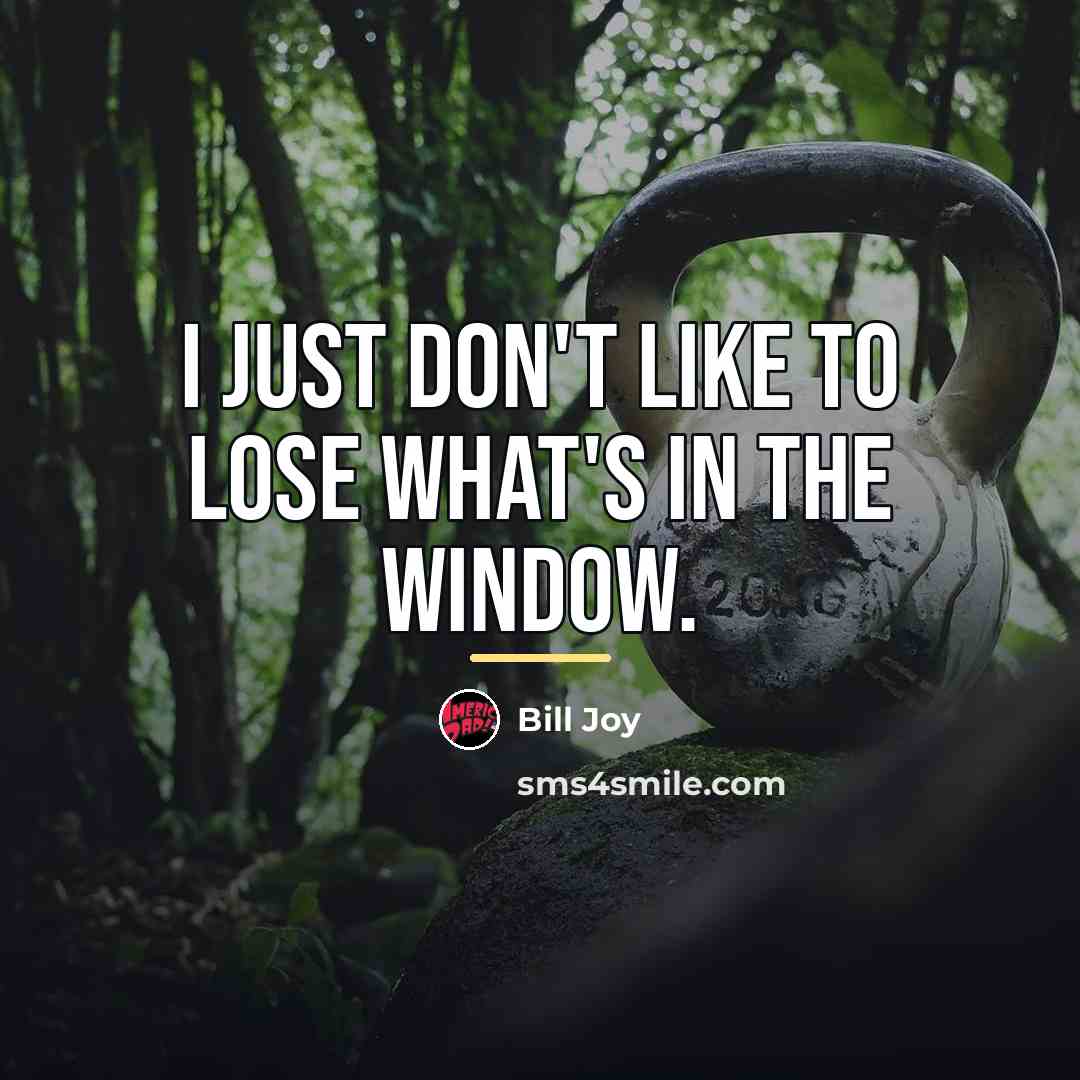 “I just don't like to lose what's in the window.…” quote by Bill Joy