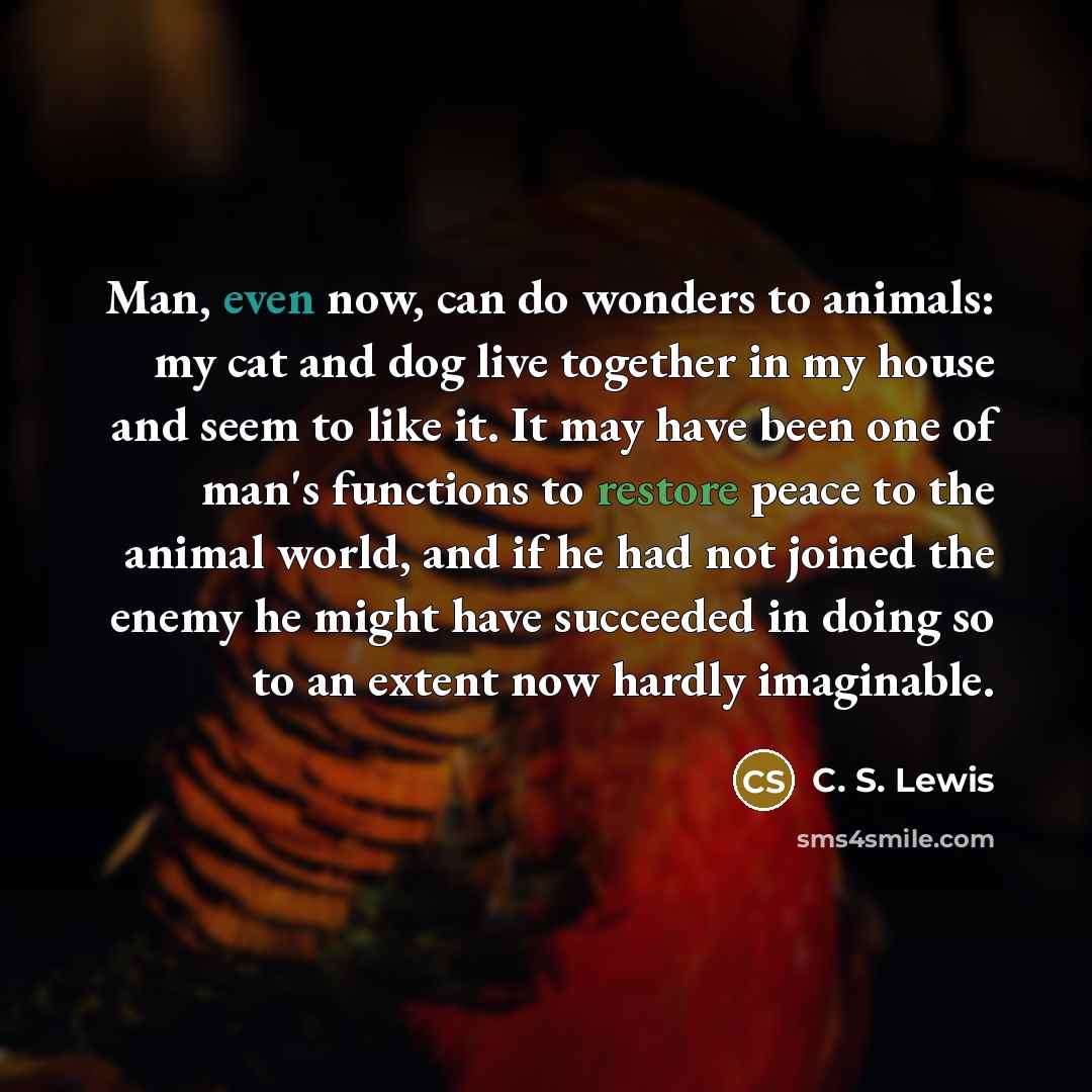 “Man, even now, can do wonders to animals: my cat…” quote by C. S. Lewis