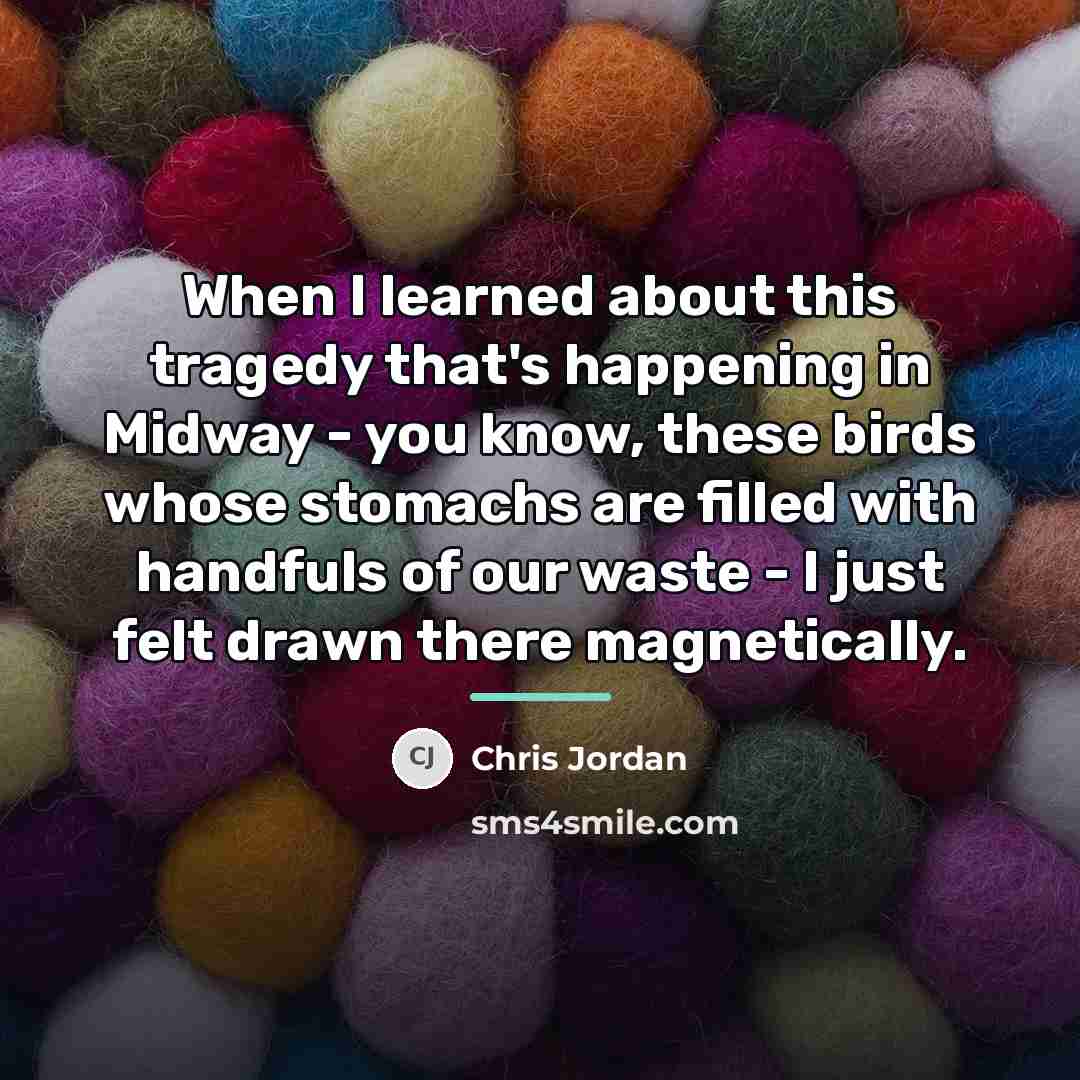“When I learned about this tragedy that's happening in Midway…” quote by Chris Jordan