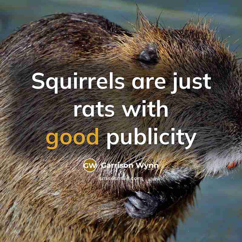 “Squirrels are just rats with good publicity…” quote by Garrison Wynn