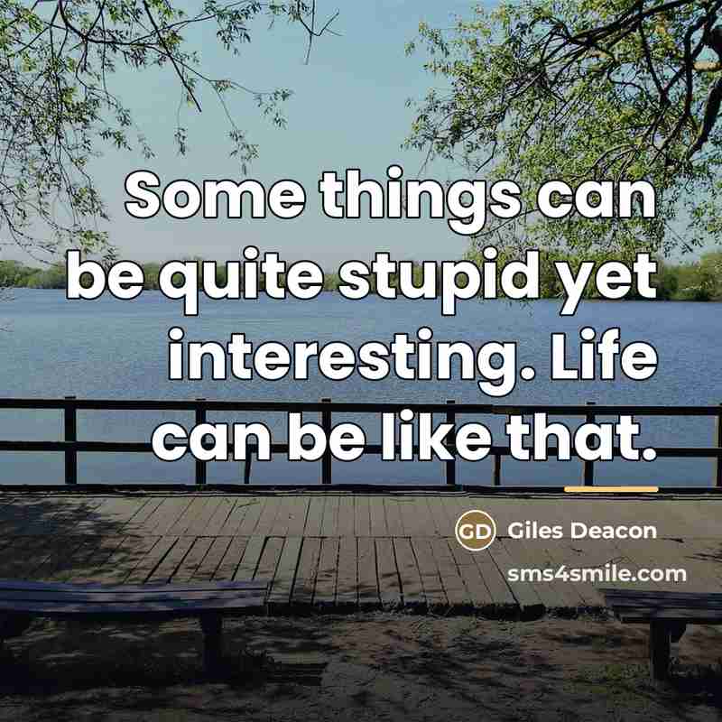 “Some things can be quite stupid yet interesting. Life can…” quote by Giles Deacon