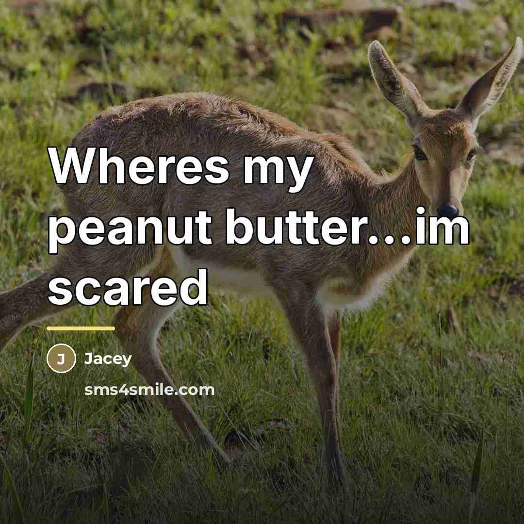 “Wheres my peanut butter...im scared…” quote by Jacey