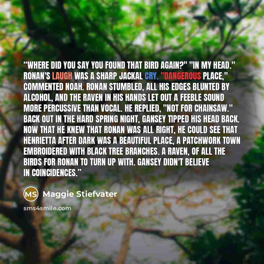 “Where did you say you found that bird again?" "In my head." Ronan's laugh was a sharp jackal cry. "Dangerous place," commented Noah. Ronan stumbled, all his edges blunted by alcohol, and the raven in his hands let out a feeble sound more percussive than vocal. He replied, "Not for Chainsaw." Back…” quote by Maggie Stiefvater