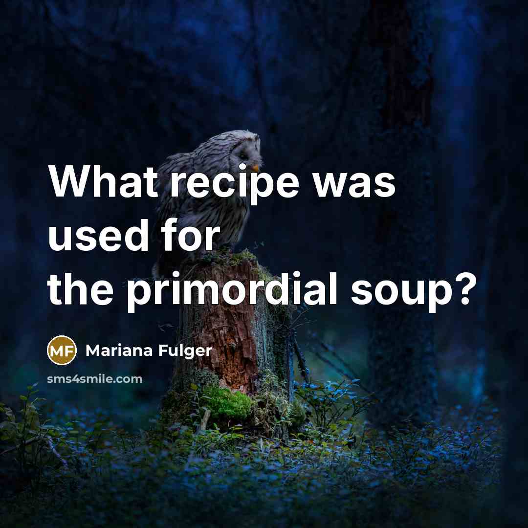 “What recipe was used for the primordial soup?…” quote by Mariana Fulger