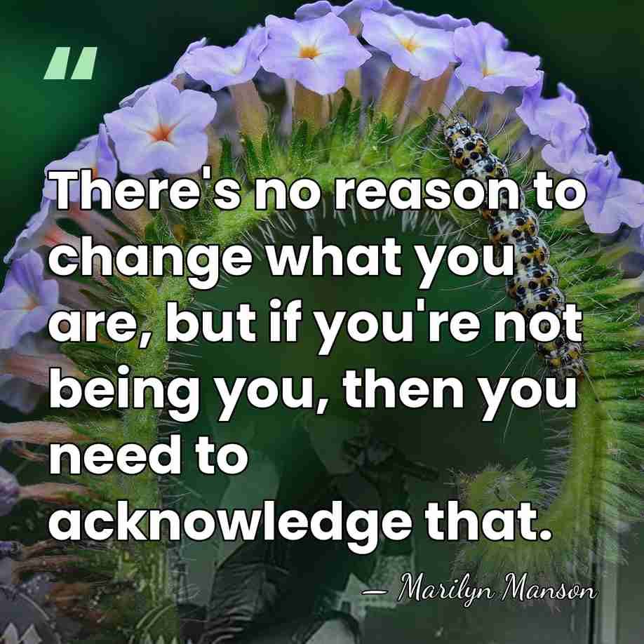 There's no reason to change what you are, but if you're not&hellip; - Marilyn Manson