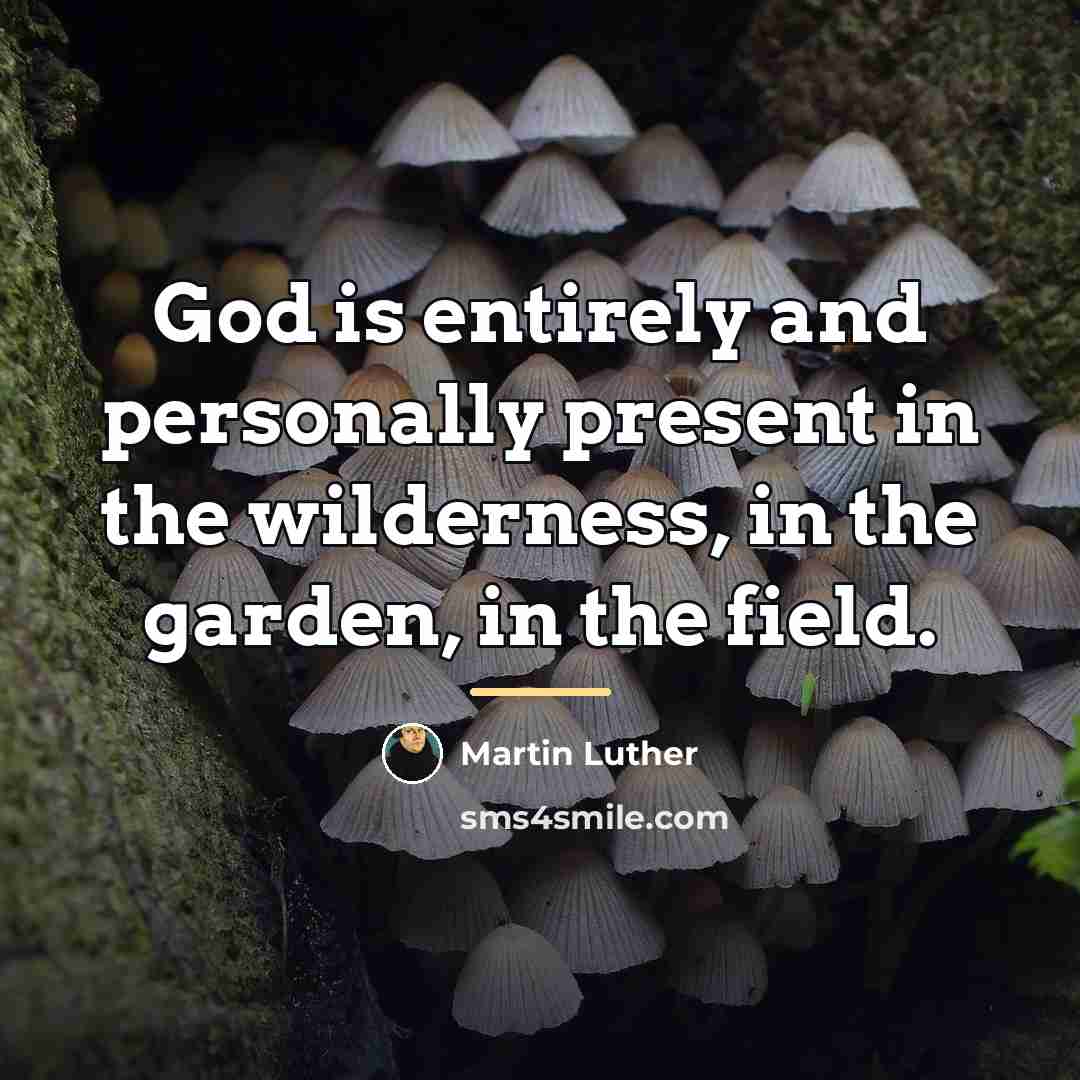 “God is entirely and personally present in the wilderness, in…” quote by Martin Luther