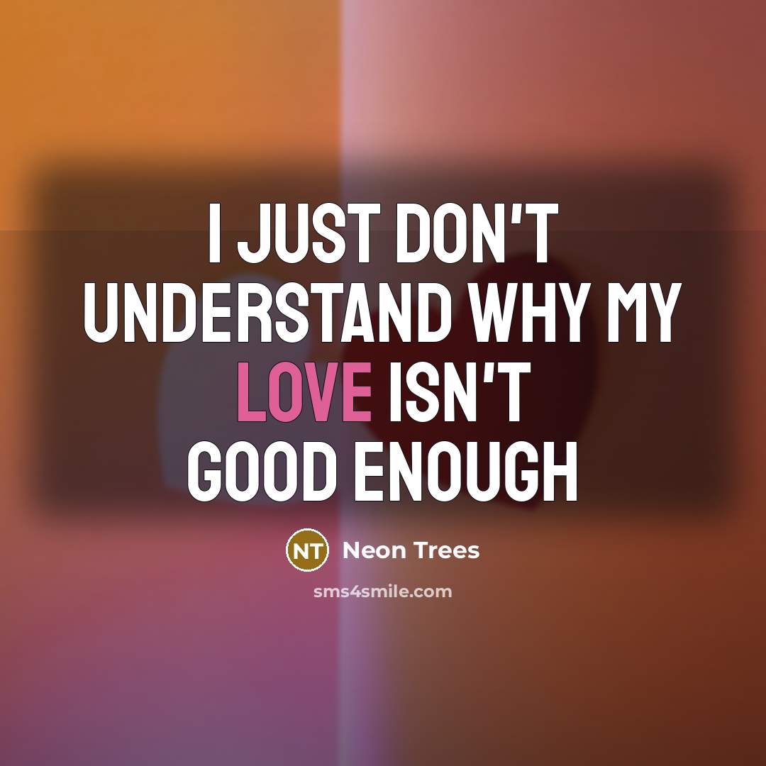 “I just don't understand why my love isn't good enough…” quote by Neon Trees