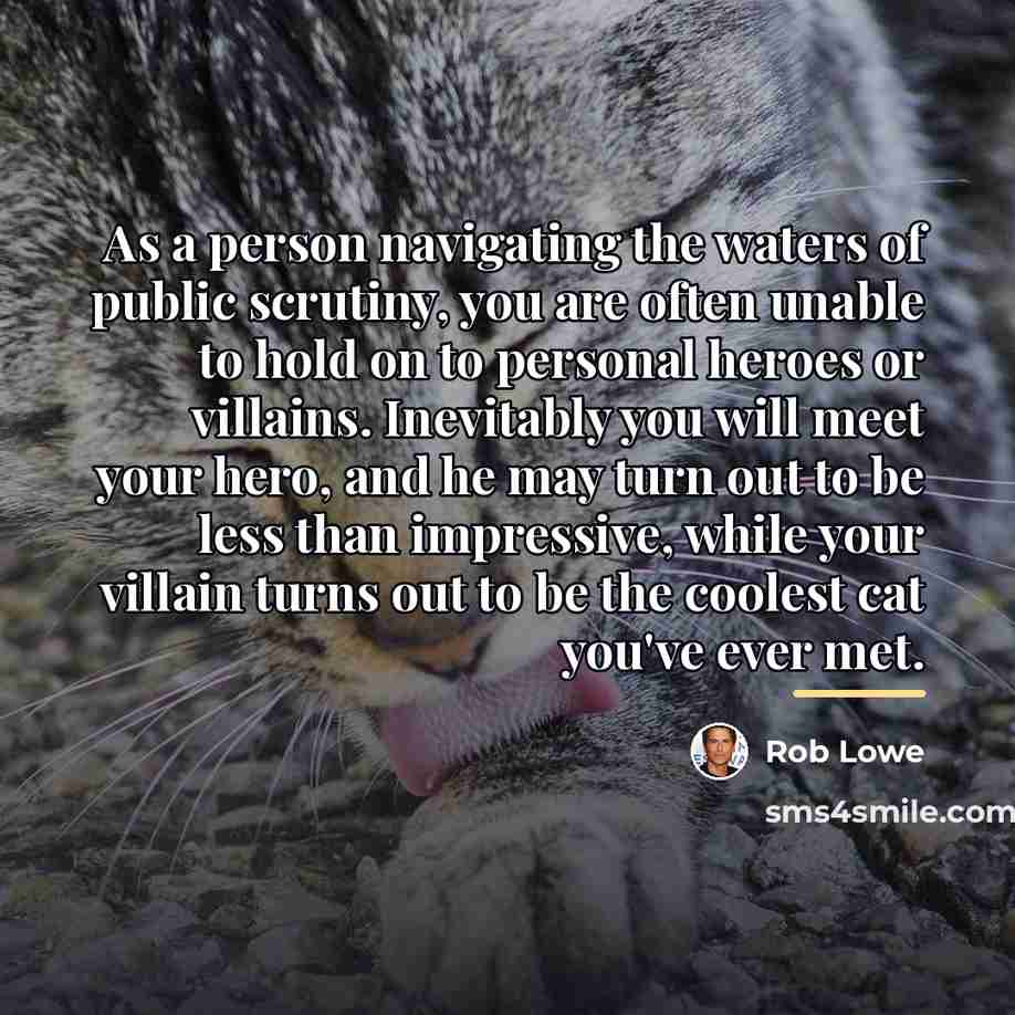 “As a person navigating the waters of public scrutiny, you…” quote by Rob Lowe
