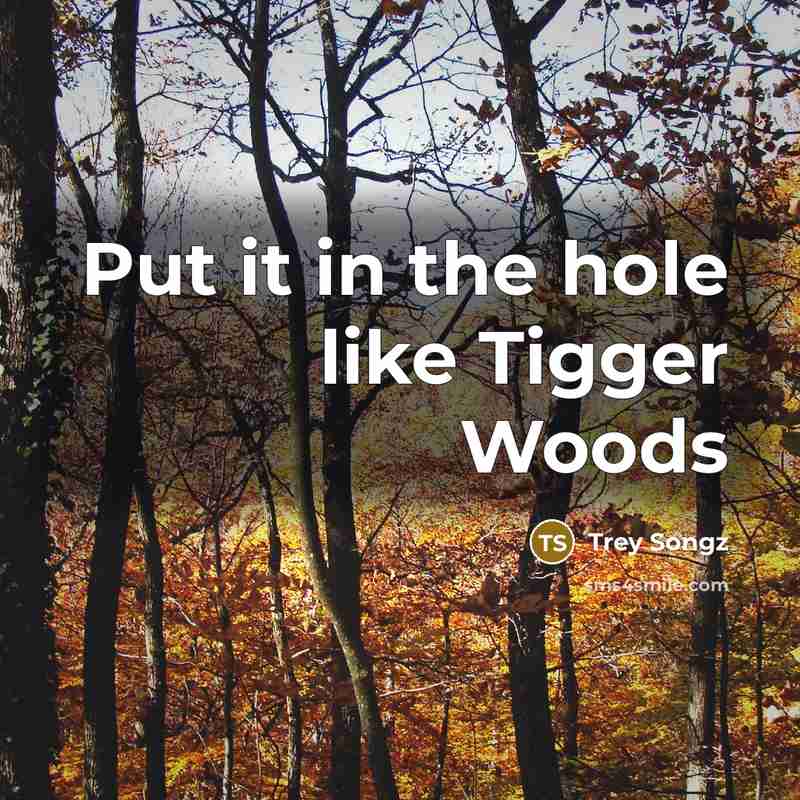 “Put it in the hole like Tigger Woods…” quote by Trey Songz
