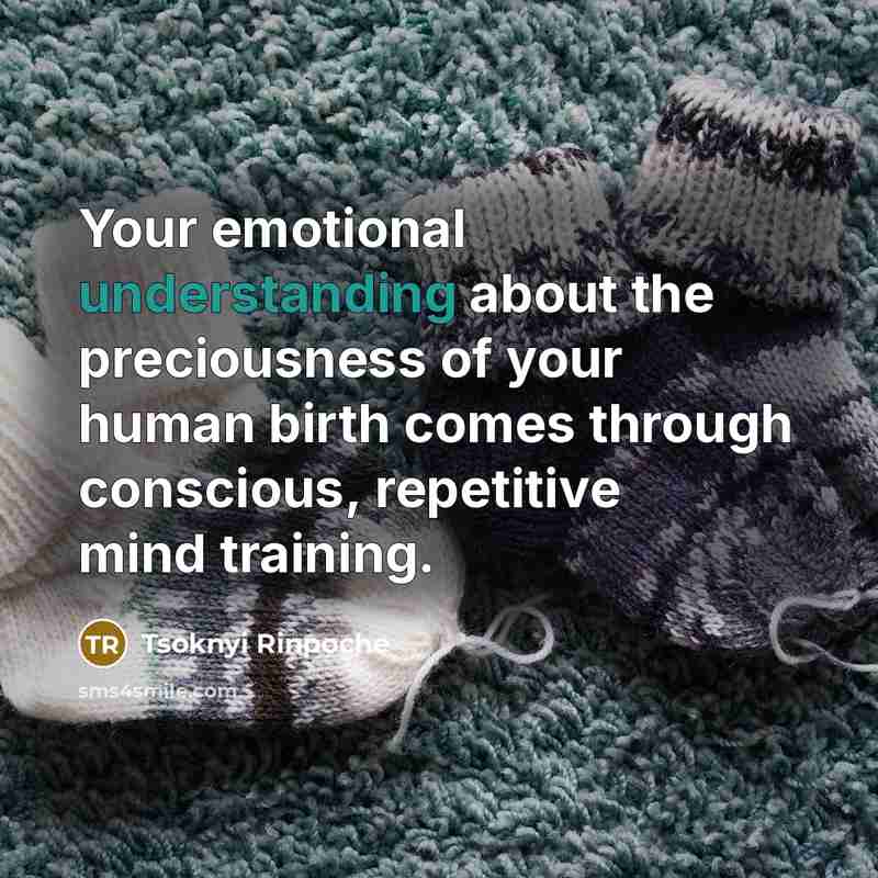 “Your emotional understanding about the preciousness of your human birth…” quote by Tsoknyi Rinpoche