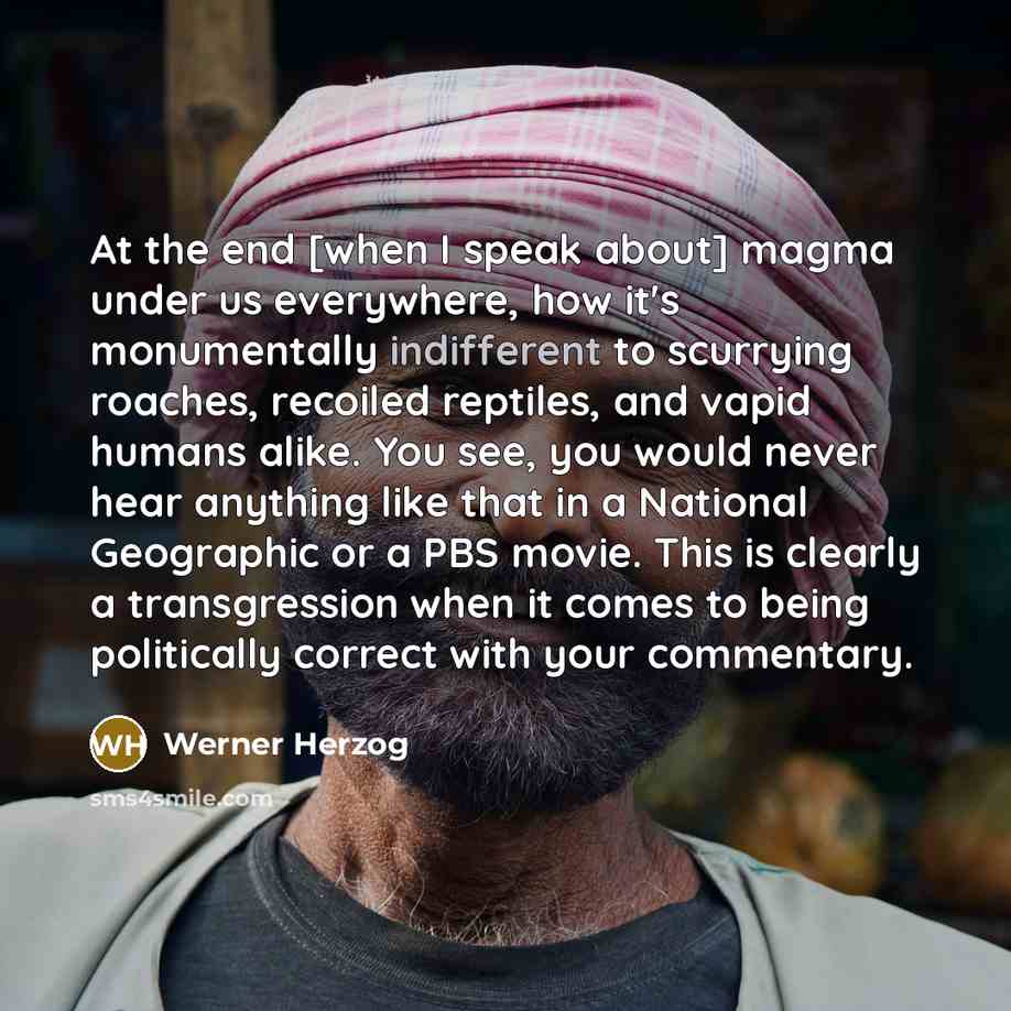 “At the end [when I speak about] magma under us…” quote by Werner Herzog