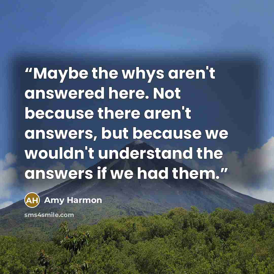 “Maybe the whys aren't answered here. Not because there aren't answers, but because we wouldn't understand the answers if we had them.” quote by Amy Harmon