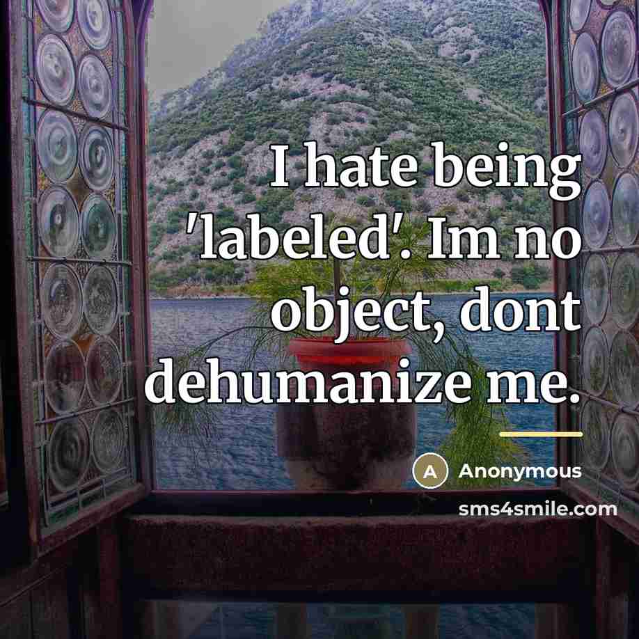 “I hate being 'labeled'. Im no object, dont dehumanize me.…” quote by Anonymous