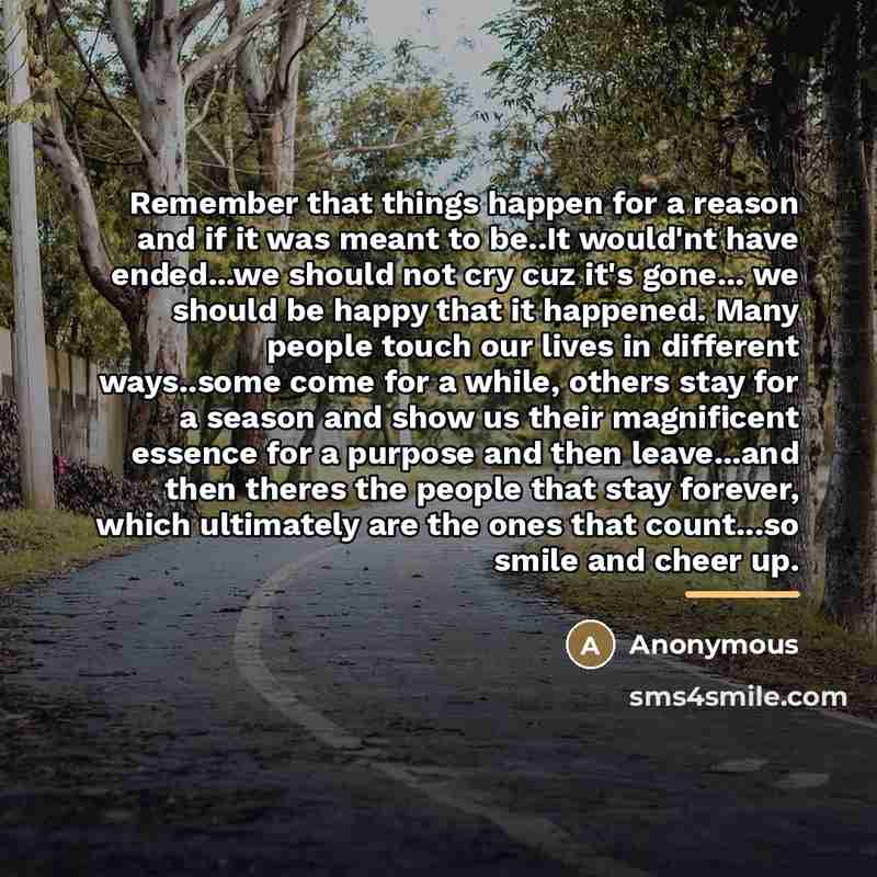 “Remember that things happen for a reason and if it…” quote by Anonymous