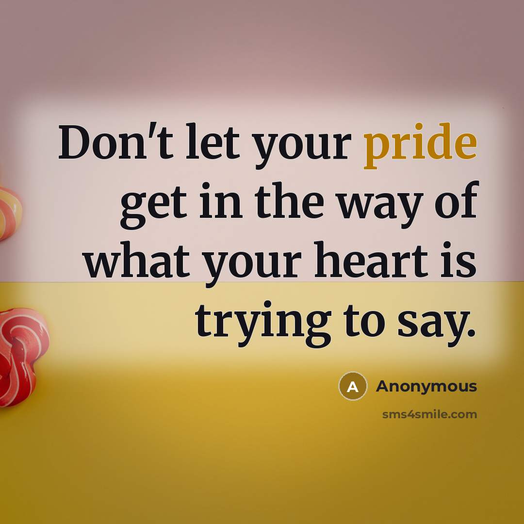 “Don't let your pride get in the way of what…” quote by Anonymous