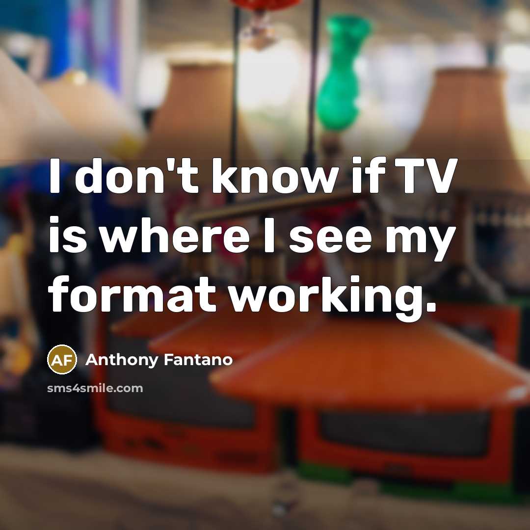 “I don't know if TV is where I see my format working.” quote by Anthony Fantano
