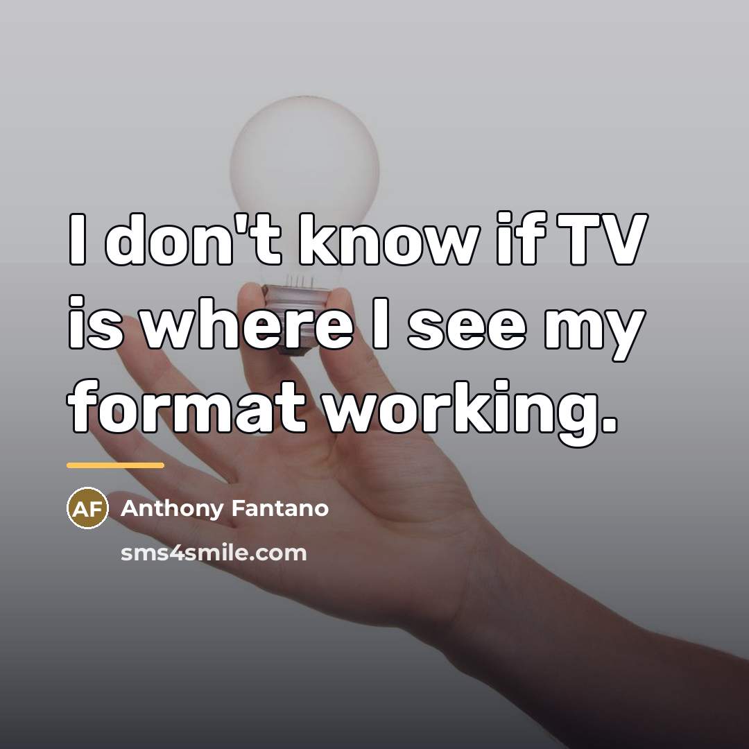 “I don't know if TV is where I see my…” quote by Anthony Fantano