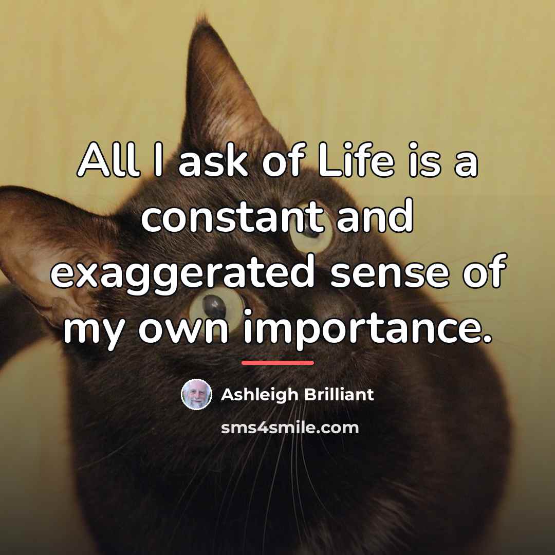 “All I ask of Life is a constant and exaggerated…” quote by Ashleigh Brilliant