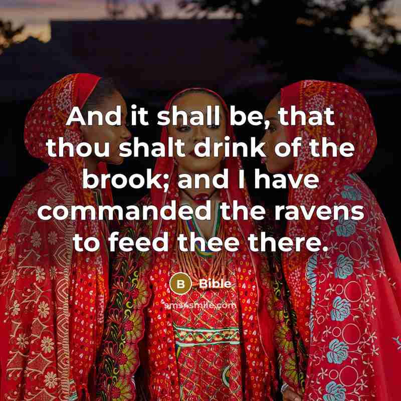 “And it shall be, that thou shalt drink of the…” quote by Bible