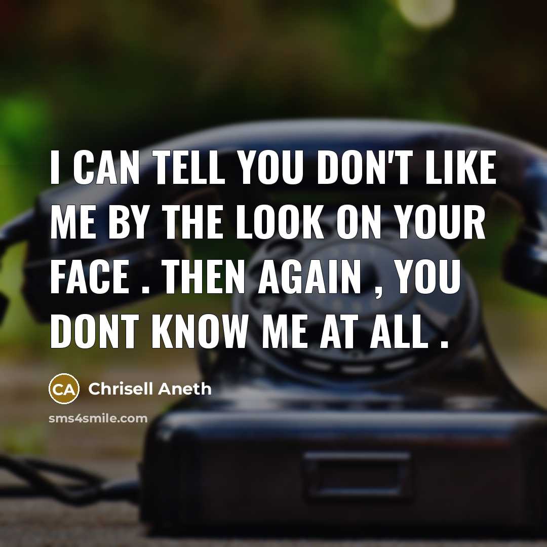“I can tell you don't like me by the look…” quote by Chrisell Aneth